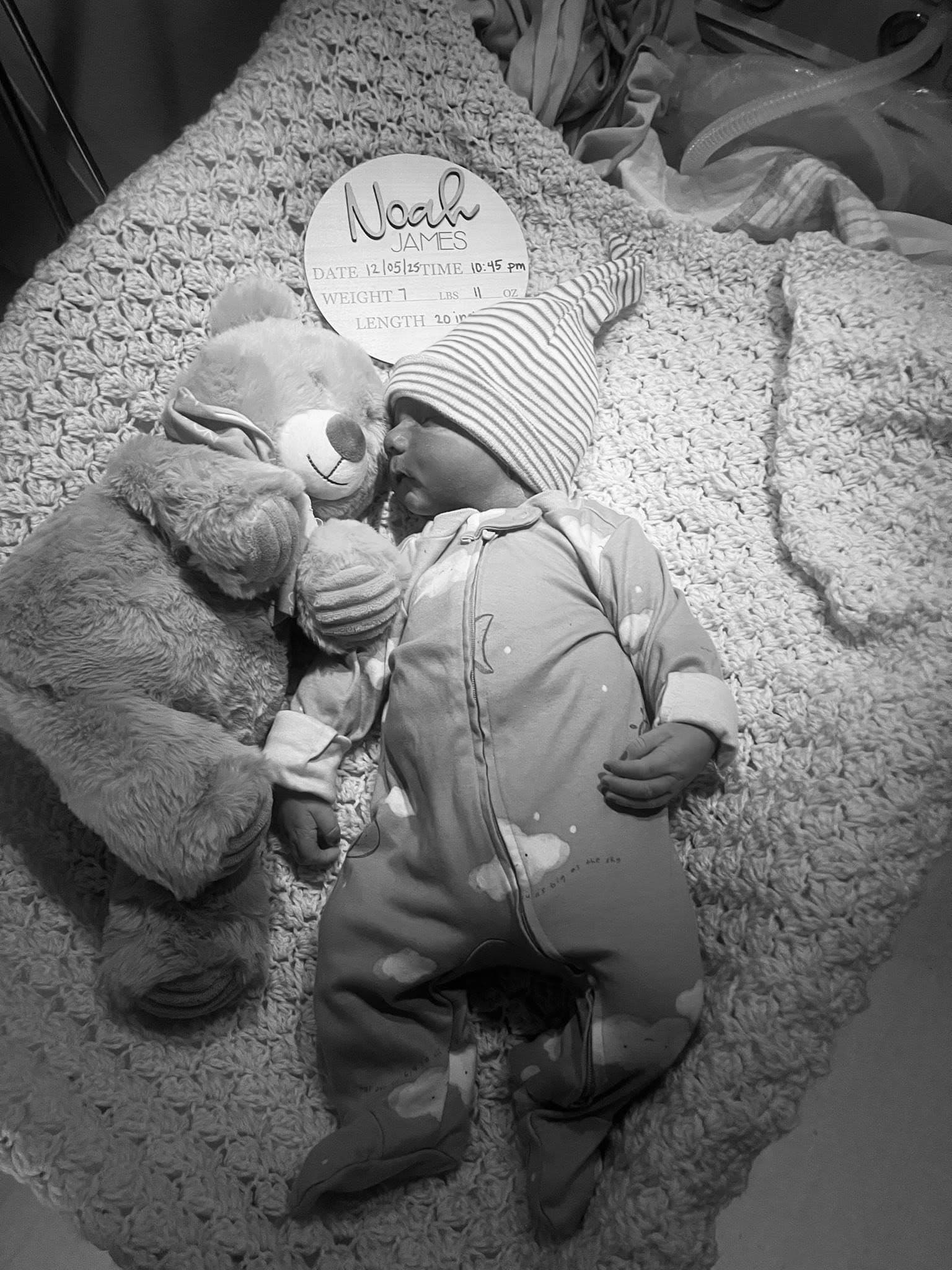 Noah's Blessing hero image